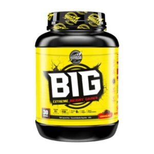 BIG Extreme Weight Gainer